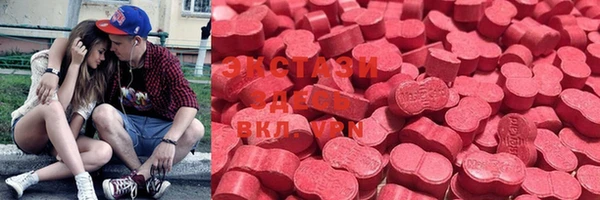 прущие грибы Алзамай