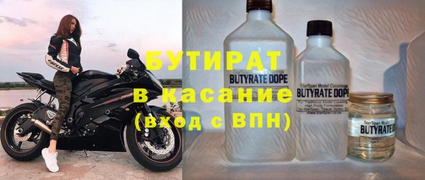 прущие грибы Алзамай
