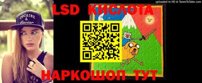 дмт Ставрополь