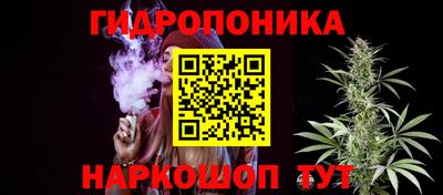 дмт Ставрополь
