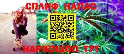 дмт Ставрополь
