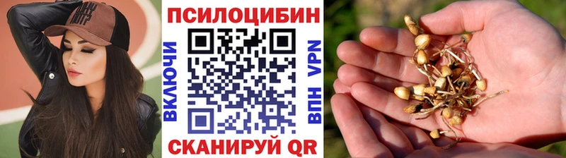 даркнет клад  Нижний Новгород  Псилоцибиновые грибы Psilocybe 