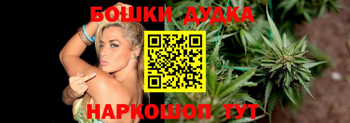 Каннабис Bruce Banner  Бошки Шишки Bruce Banner  Вход с VPN  Каннабис семена  Нижний Новгород 